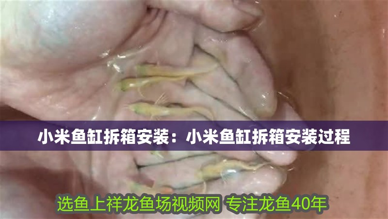 小米魚缸拆箱安裝：小米魚缸拆箱安裝過程