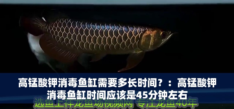 高錳酸鉀消毒魚缸需要多長時間？：高錳酸鉀消毒魚缸時間應(yīng)該是45分鐘左右
