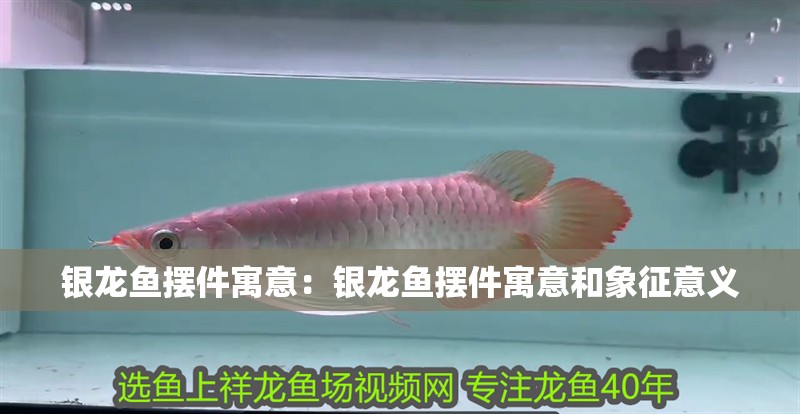 銀龍魚擺件寓意：銀龍魚擺件寓意和象征意義