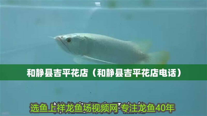 和靜縣吉平花店（和靜縣吉平花店電話） 和靜縣吉平花店（和靜縣吉平花店電話） 全國水族館企業(yè)名錄