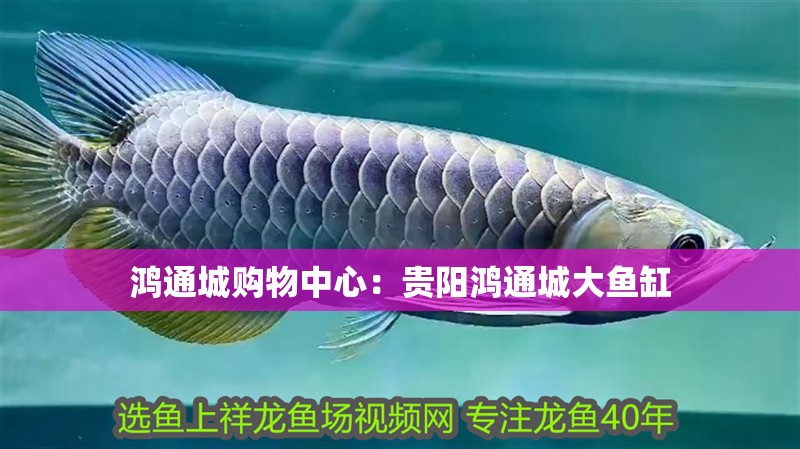 鴻通城購物中心：貴陽鴻通城大魚缸