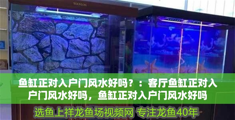 魚缸正對入戶門風水好嗎？：客廳魚缸正對入戶門風水好嗎，魚缸正對入戶門風水好嗎