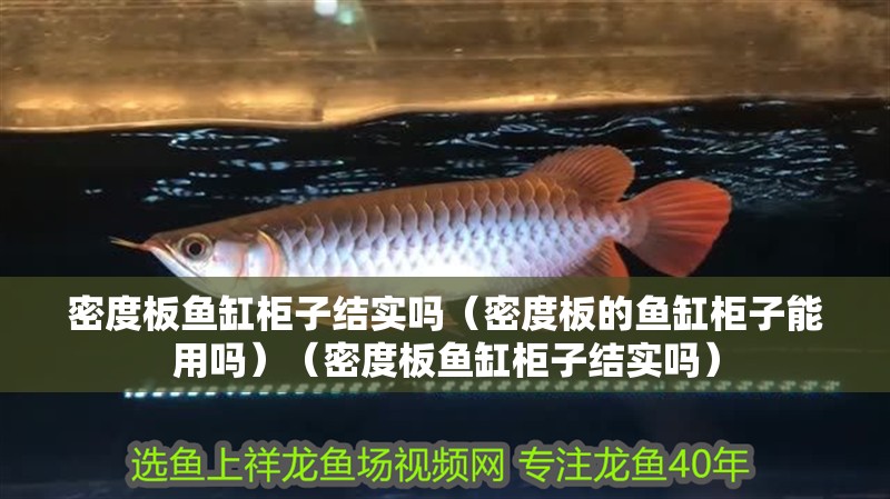 密度板魚缸柜子結(jié)實(shí)嗎（密度板的魚缸柜子能用嗎）（密度板魚缸柜子結(jié)實(shí)嗎）