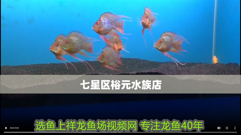 七星區裕元水族店 七星區裕元水族店 全國水族館企業名錄