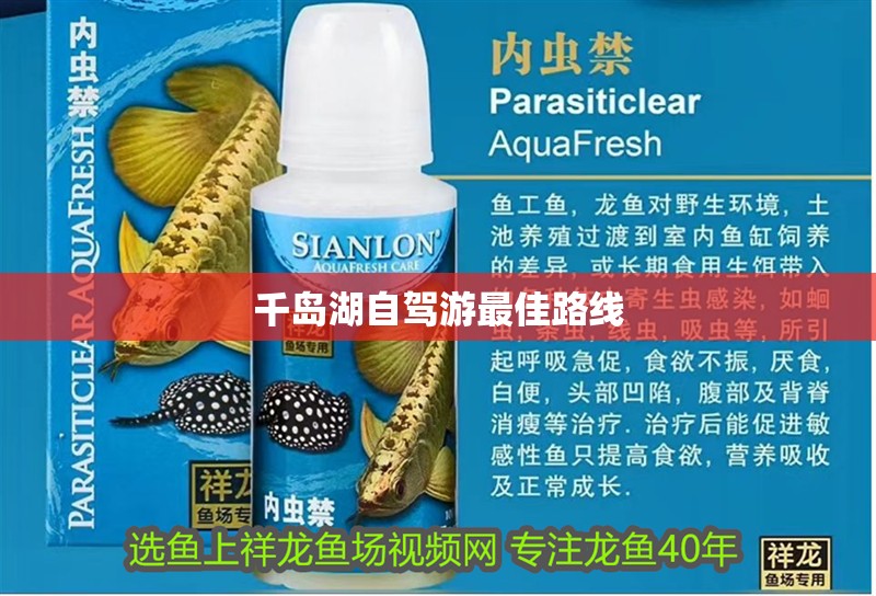 千島湖自駕游最佳路線