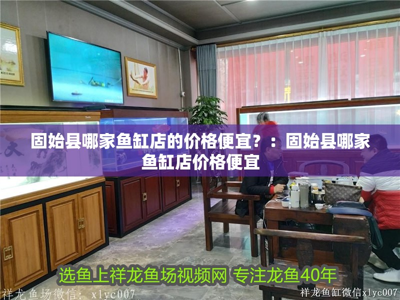 <strong><mark>固始</mark></strong>縣哪家魚缸店的價(jià)格便宜？：<strong><mark>固始</mark></strong>縣哪家魚缸店價(jià)格便宜