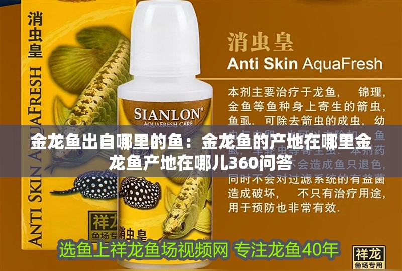 金龍魚出自哪里的魚：金龍魚的產地在哪里金龍魚產地在哪兒360問答 金龍魚出自哪里的魚：金龍魚的產地在哪里金龍魚產地在哪兒360問答 龍魚百科