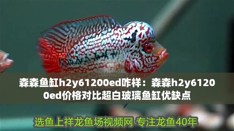 森森魚缸h2y61200ed咋樣：森森h2y61200ed價格對比超白玻璃魚缸優缺點