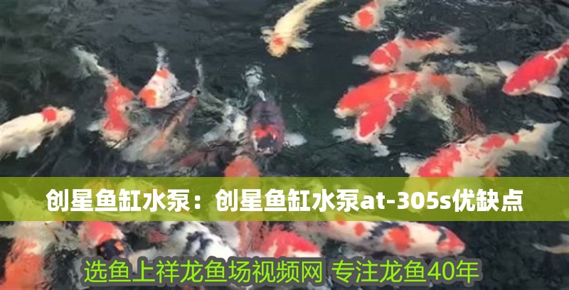創(chuàng)星魚(yú)缸水泵：創(chuàng)星魚(yú)缸水泵at-305s優(yōu)缺點(diǎn)