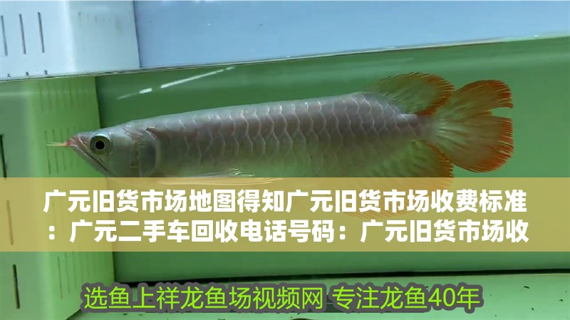 廣元舊貨市場(chǎng)地圖得知廣元舊貨市場(chǎng)收費(fèi)標(biāo)準(zhǔn)：廣元二手車(chē)回收電話號(hào)碼：廣元舊貨市場(chǎng)收費(fèi)標(biāo)準(zhǔn)一般