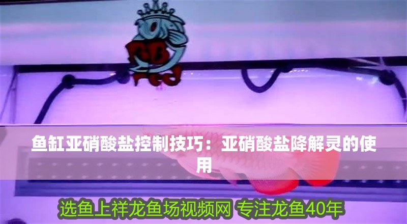 魚缸亞硝酸鹽控制技巧：亞硝酸鹽降解靈的使用 魚缸亞硝酸鹽控制技巧：亞硝酸鹽降解靈的使用 魚缸百科