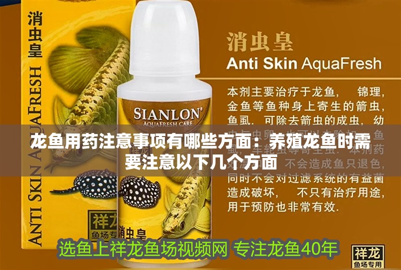 龍魚用藥注意事項有哪些方面：養(yǎng)殖龍魚時需要注意以下幾個方面