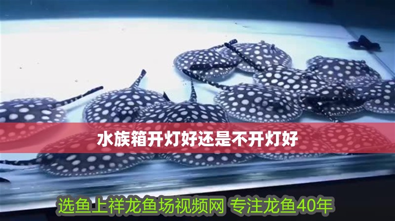 水族箱開燈好還是不開燈好 水族箱開燈好還是不開燈好 龍魚論壇