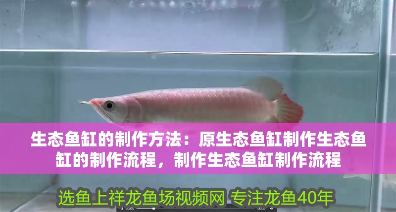 生態(tài)魚缸的制作方法：原生態(tài)魚缸制作生態(tài)魚缸的制作流程，制作生態(tài)魚缸制作流程