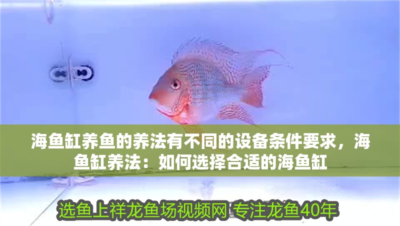 海魚缸養(yǎng)魚的養(yǎng)法有不同的設(shè)備條件要求，海魚缸養(yǎng)法：如何選擇合適的海魚缸 海魚缸養(yǎng)魚的養(yǎng)法有不同的設(shè)備條件要求，海魚缸養(yǎng)法：如何選擇合適的海魚缸 魚缸百科