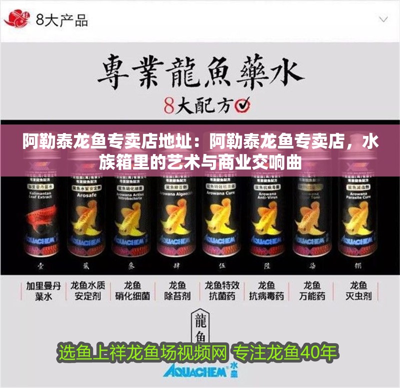 阿勒泰龍魚專賣店地址：阿勒泰龍魚專賣店，水族箱里的藝術(shù)與商業(yè)交響曲