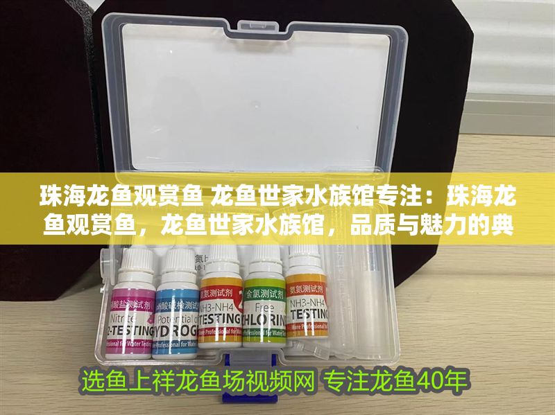 珠海龍魚觀賞魚 龍魚世家水族館專注：珠海龍魚觀賞魚，龍魚世家水族館，品質與魅力的典范