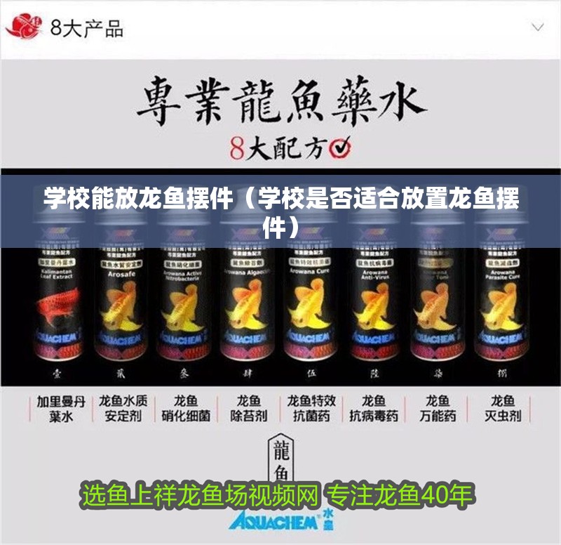 學(xué)校能放龍魚擺件（學(xué)校是否適合放置龍魚擺件）