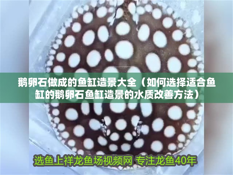 鵝卵石做成的魚缸造景大全（如何選擇適合魚缸的鵝卵石魚缸造景的水質改善方法）