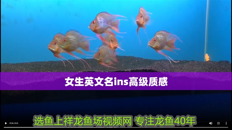 女生英文名ins高級質感