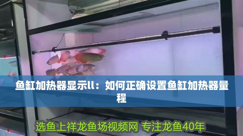 魚缸加熱器顯示ll：如何正確設置魚缸加熱器量程