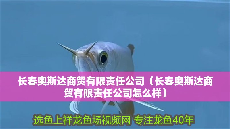 長春奧斯達(dá)商貿(mào)有限責(zé)任公司（長春奧斯達(dá)商貿(mào)有限責(zé)任公司怎么樣）