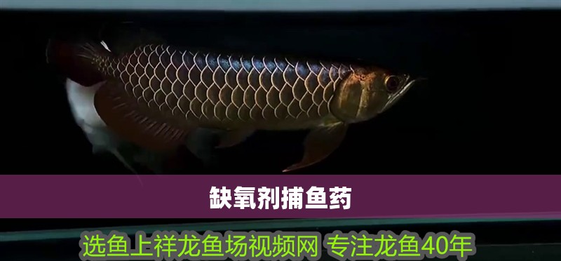 缺氧劑捕魚(yú)藥