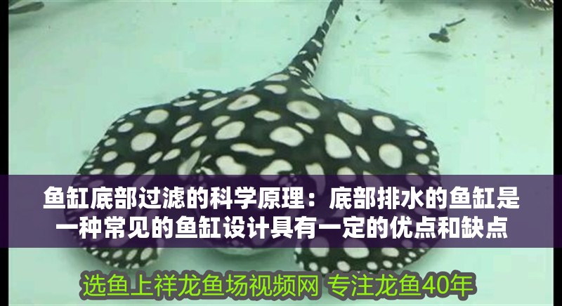 魚缸用增氧泵價格是多少:魚缸增氧機-xtrac增氧機-xtrac增氧機 魚缸底部過濾的科學原理:底部排水的魚缸是一種常見的魚缸設計具有一定的優點和缺點 魚缸百科 魚缸底部過濾的科學原理:底部排水的魚缸是一種常見的魚缸設計具有一定的優點和缺點 魚缸底部過濾的科學原理:底部排水的魚缸是一種常見的魚缸設計具有一定的優點和缺點 魚缸百科