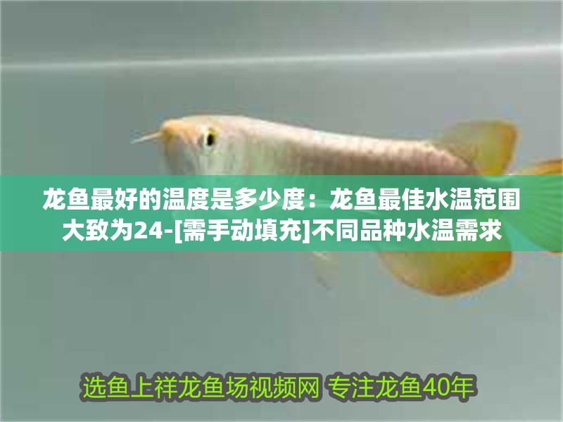 龍魚最好的溫度是多少度：龍魚最佳水溫范圍大致為24-[需手動(dòng)填充]不同品種水溫需求