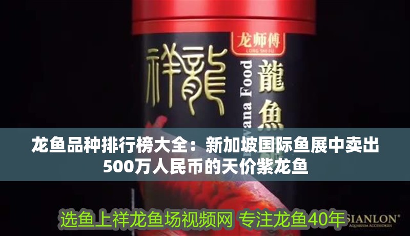 龍魚品種排行榜大全：新加坡國際魚展中賣出500萬人民幣的天價紫龍魚