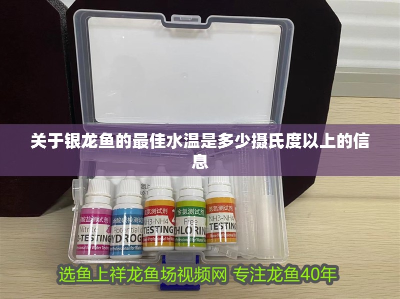 關于銀龍魚的最佳水溫是多少攝氏度以上的信息 關于銀龍魚的最佳水溫是多少攝氏度以上的信息 銀龍魚百科