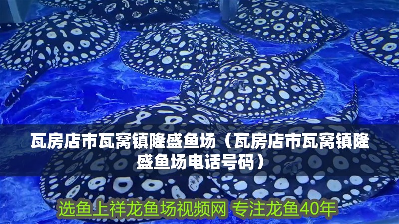 <strong><mark>瓦房店</mark></strong>市瓦窩鎮(zhèn)隆盛魚場（<strong><mark>瓦房店</mark></strong>市瓦窩鎮(zhèn)隆盛魚場電話號碼）