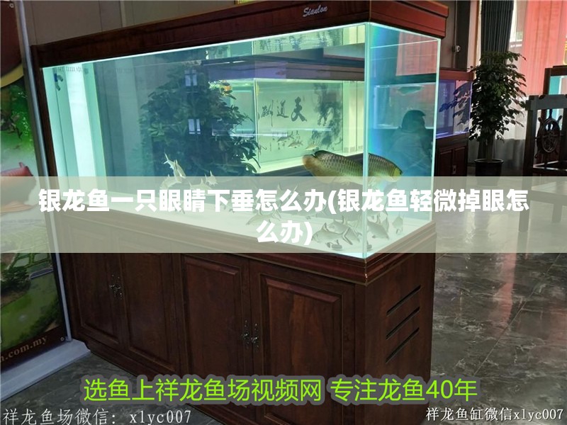 銀龍魚一只眼睛下垂怎么辦(銀龍魚輕微掉眼怎么辦)