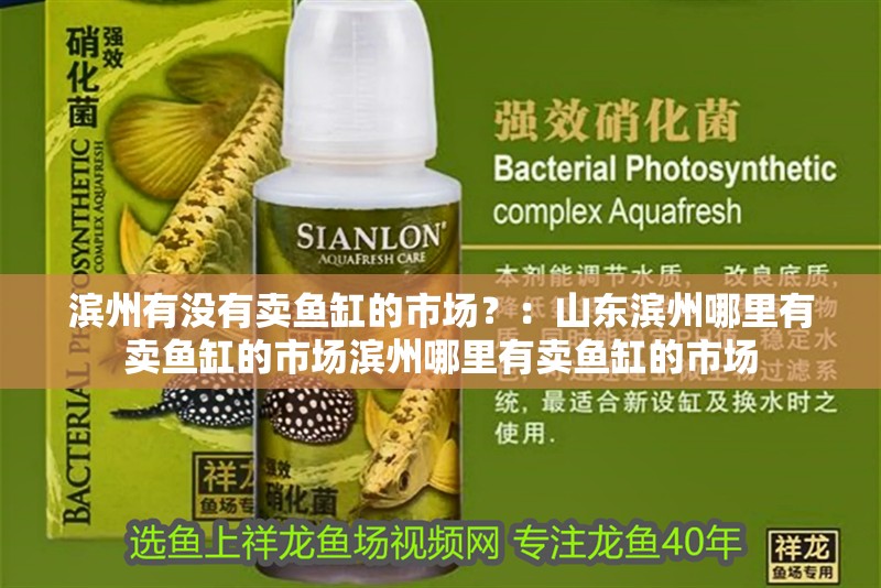 濱州有沒有賣魚缸的市場？：山東濱州哪里有賣魚缸的市場濱州哪里有賣魚缸的市場