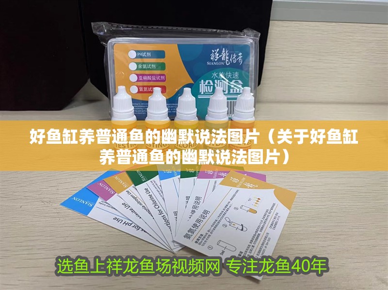 給大魚(yú)缸換水的作文:體驗(yàn)給大魚(yú)缸換水的樂(lè)趣:體驗(yàn)給大魚(yú)缸換水:給大魚(yú)缸換水的作文 好魚(yú)缸養(yǎng)普通魚(yú)的幽默說(shuō)法圖片(關(guān)于好魚(yú)缸養(yǎng)普通魚(yú)的幽默說(shuō)法圖片) 魚(yú)缸百科 好魚(yú)缸養(yǎng)普通魚(yú)的幽默說(shuō)法圖片(關(guān)于好魚(yú)缸養(yǎng)普通魚(yú)的幽默說(shuō)法圖片) 好魚(yú)缸養(yǎng)普通魚(yú)的幽默說(shuō)法圖片(關(guān)于好魚(yú)缸養(yǎng)普通魚(yú)的幽默說(shuō)法圖片) 魚(yú)缸百科