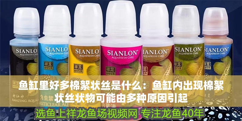 魚缸里好多棉絮狀絲是什么：魚缸內(nèi)出現(xiàn)棉絮狀絲狀物可能由多種原因引起