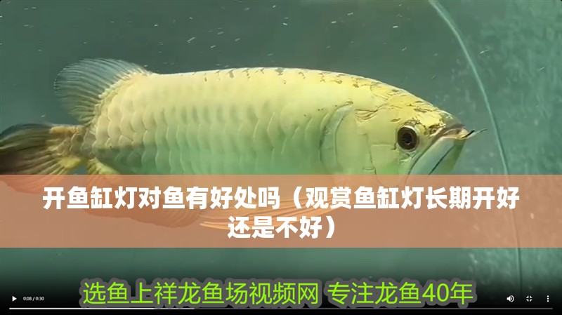 開魚缸燈對魚有好處嗎（觀賞魚缸燈長期開好還是不好）