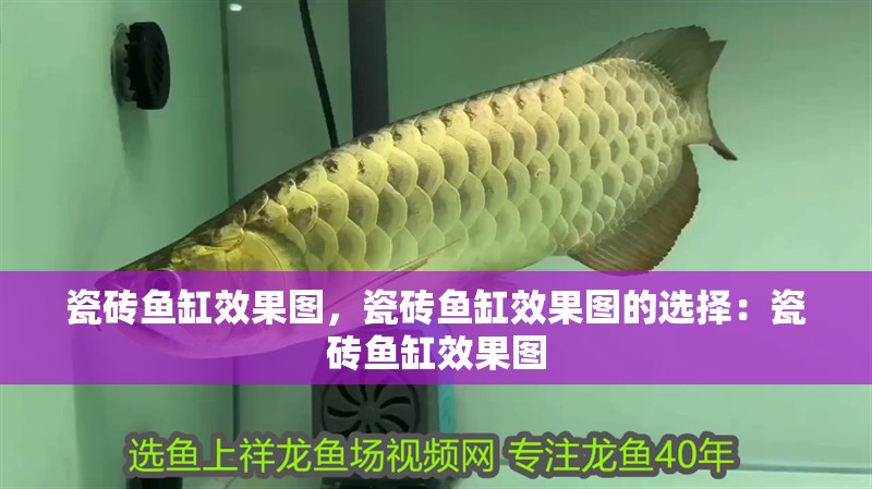 瓷磚魚缸效果圖，瓷磚魚缸效果圖的選擇：瓷磚魚缸效果圖