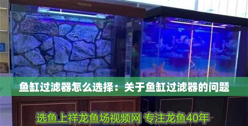 魚缸過濾器怎么選擇：關于魚缸過濾器的問題