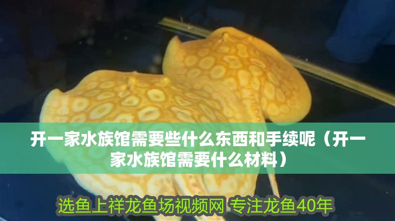 開一家水族館需要些什么東西和手續呢（開一家水族館需要什么材料）