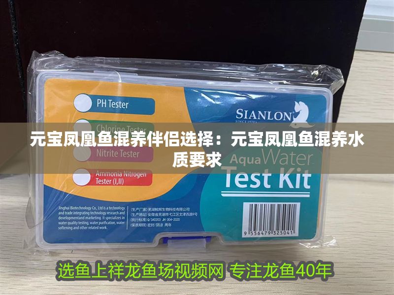 元寶鳳凰魚混養伴侶選擇：元寶鳳凰魚混養水質要求