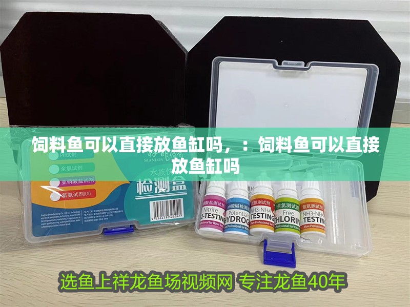 飼料魚(yú)可以直接放魚(yú)缸嗎，：飼料魚(yú)可以直接放魚(yú)缸嗎