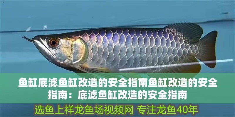 魚缸底濾魚缸改造的安全指南魚缸改造的安全指南：底濾魚缸改造的安全指南