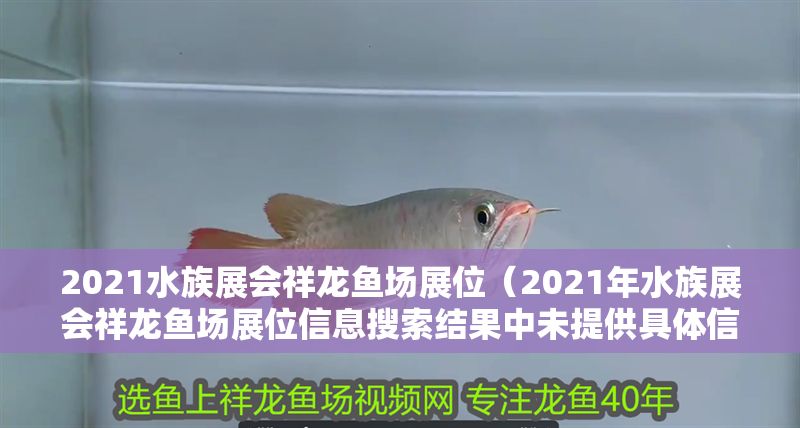 2021水族展會祥龍魚場展位(2021年水族展會祥龍魚場展位信息搜索結果中未提供具體信息) 錦鯉魚百科 第2張 2021水族展會祥龍魚場展位(2021年水族展會祥龍魚場展位信息搜索結果中未提供具體信息) 2021水族展會祥龍魚場展位(2021年水族展會祥龍魚場展位信息搜索結果中未提供具體信息) 錦鯉魚百科 第2張