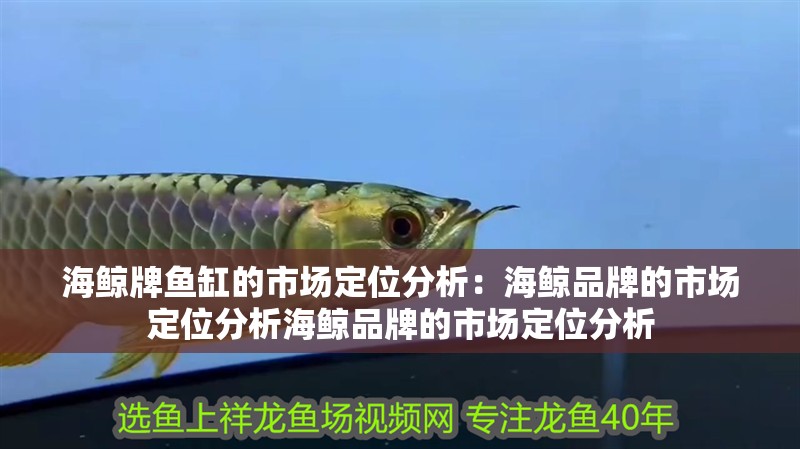 海鯨牌魚缸的市場定位分析：海鯨品牌的市場定位分析海鯨品牌的市場定位分析