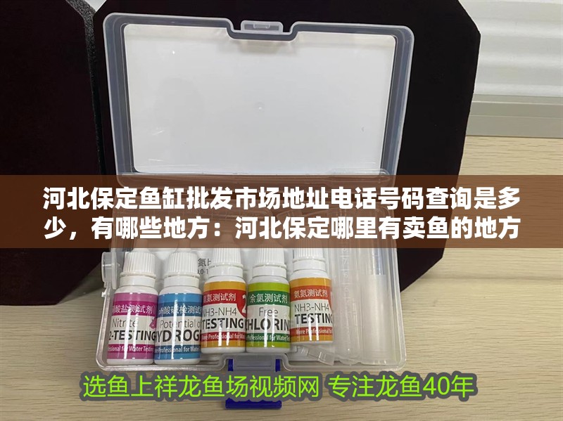 河北保定魚缸批發(fā)市場地址電話號碼查詢是多少，有哪些地方：河北保定哪里有賣魚的地方？