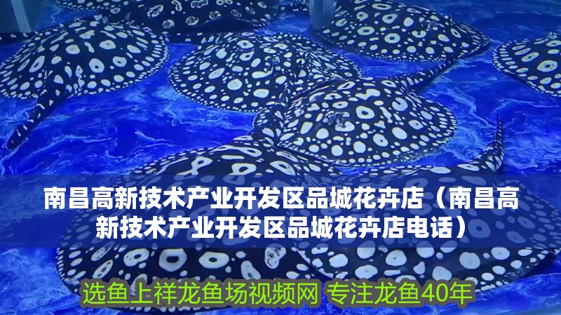 南昌高新技術產業開發區品城花卉店（南昌高新技術產業開發區品城花卉店電話）
