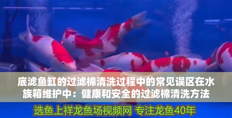 底濾魚缸的過濾棉清洗過程中的常見誤區(qū)在水族箱維護(hù)中：健康和安全的過濾棉清洗方法