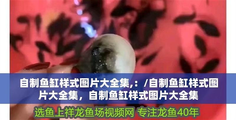 自制魚缸樣式圖片大全集,：/自制魚缸樣式圖片大全集，自制魚缸樣式圖片大全集 自制魚缸樣式圖片大全集,：/自制魚缸樣式圖片大全集，自制魚缸樣式圖片大全集 魚缸百科