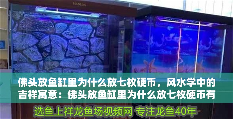 新到家的小虎魚 佛頭放魚缸里為什么放七枚硬幣,風(fēng)水學(xué)中的吉祥寓意:佛頭放魚缸里為什么放七枚硬幣有漏財(cái)之意不吉利 魚缸百科 佛頭放魚缸里為什么放七枚硬幣,風(fēng)水學(xué)中的吉祥寓意:佛頭放魚缸里為什么放七枚硬幣有漏財(cái)之意不吉利 佛頭放魚缸里為什么放七枚硬幣,風(fēng)水學(xué)中的吉祥寓意:佛頭放魚缸里為什么放七枚硬幣有漏財(cái)之意不吉利 魚缸百科
